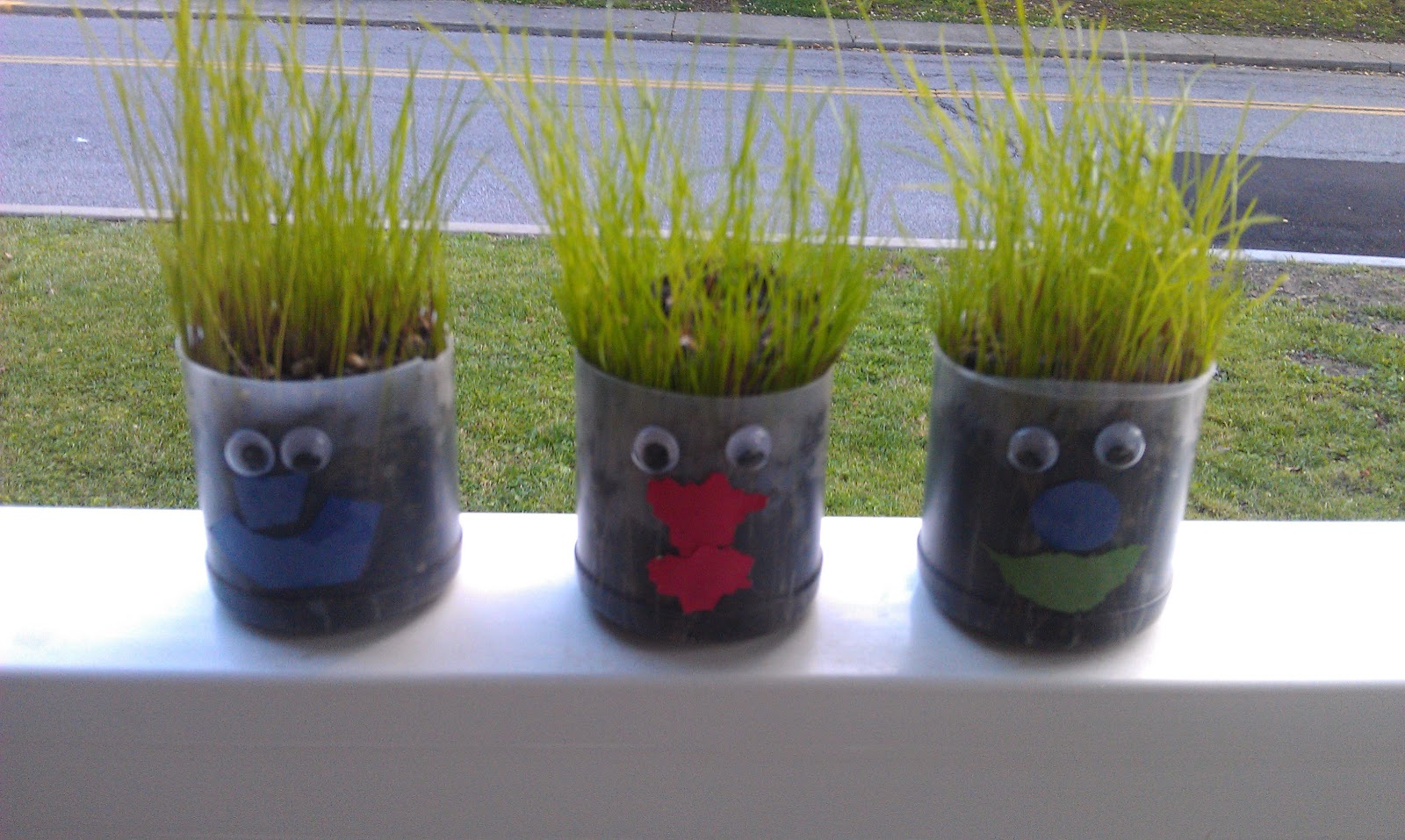 Miss Julie's Preschool Fun! Grass Heads!